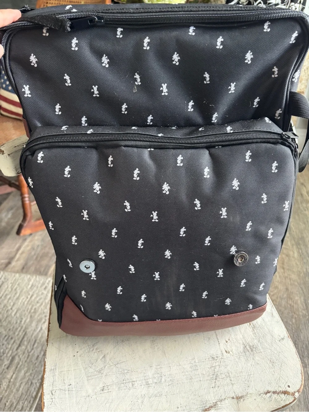 Disney Park Tripper Picnic Backpack with service for 4